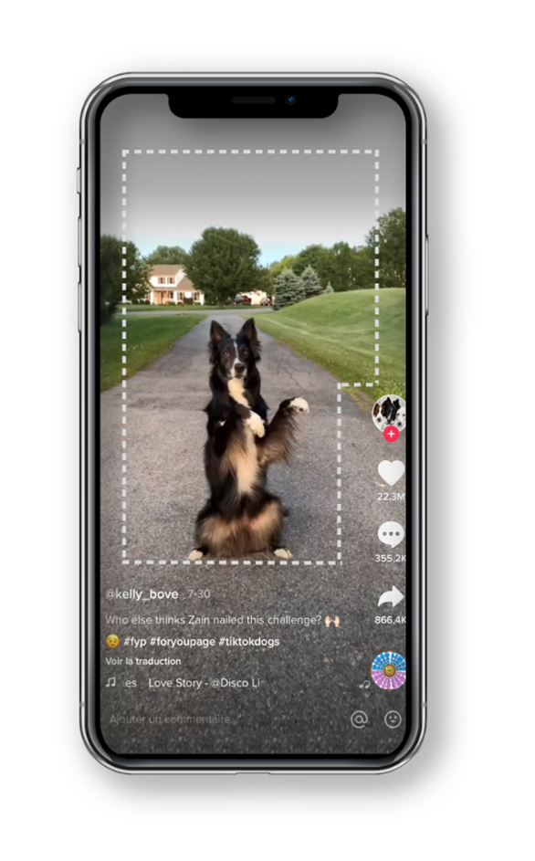 addict mobile articles bc perro 40